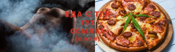 МДПВ Снежинск