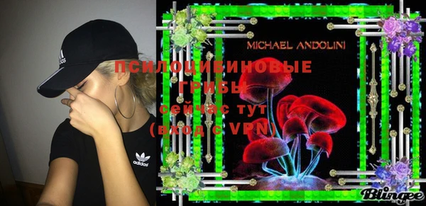 МДПВ Снежинск