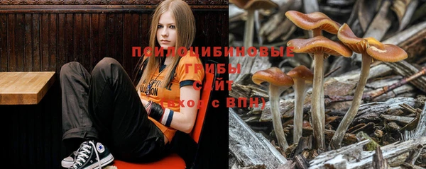 a pvp Снежногорск