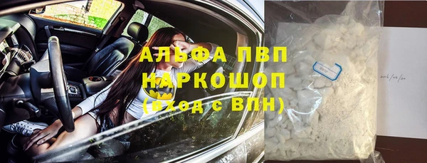 a pvp Снежногорск