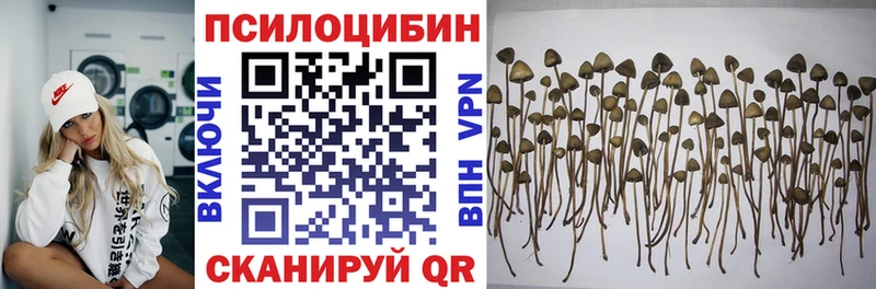 Купить где  Владикавказ  Псилоцибиновые грибы ЛСД 